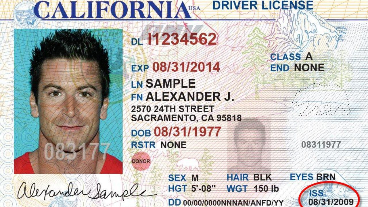 Замена водительского удостоверения в 2024 году